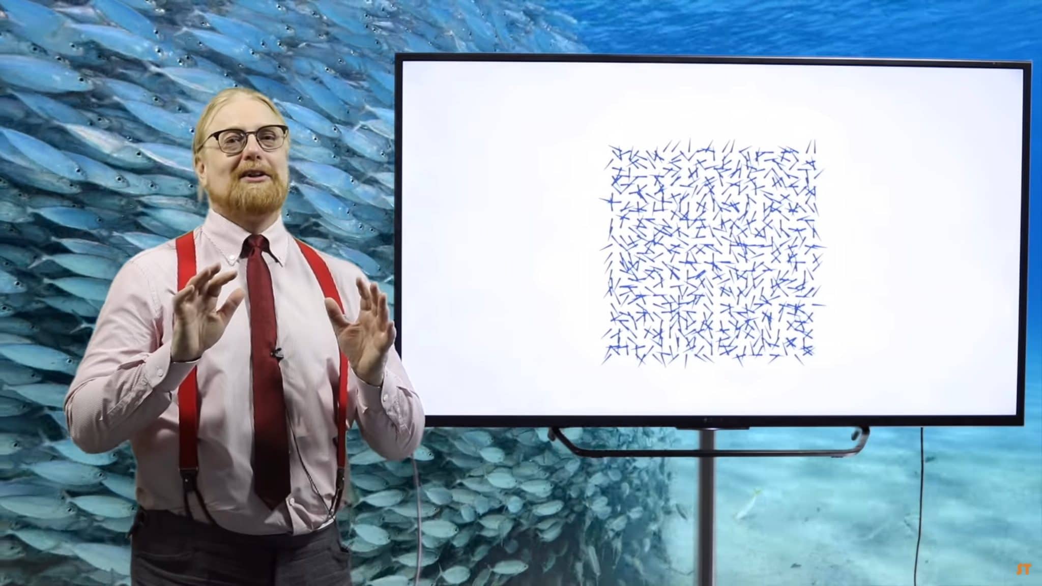 Mathematical modelling: School of fish – Samuli Siltanen