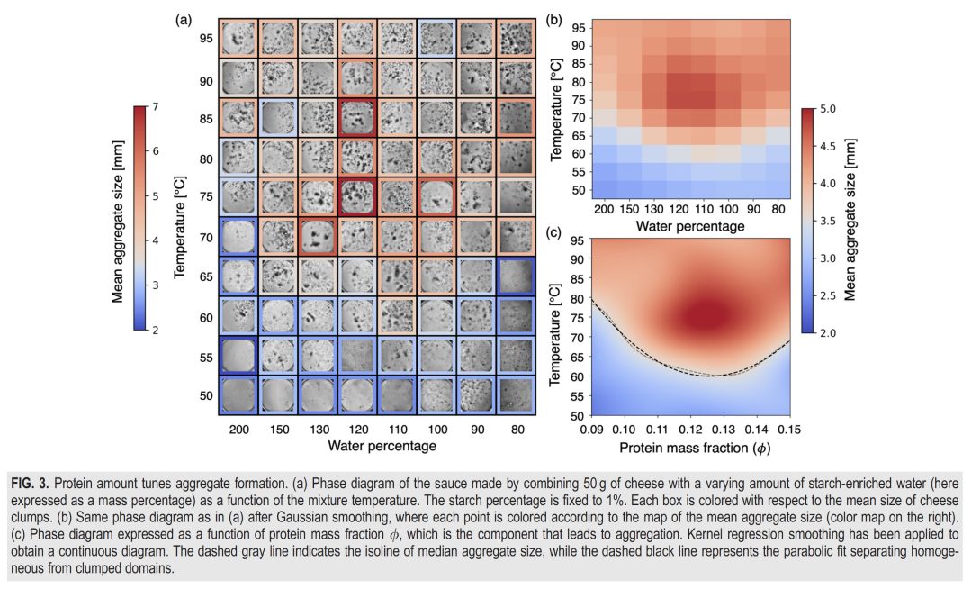 Bartolucci, Giacomo, et al. "Phase behavior of Cacio e Pepe sauce." Physics of Fluids 37.4 (2025).
